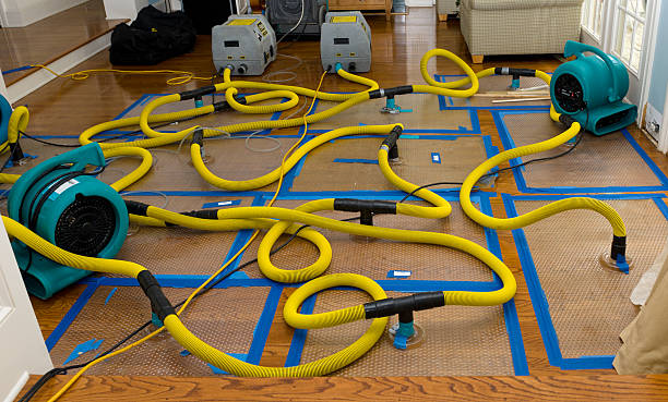 Professional Flood Damage Restoration technician working in Norco, CA